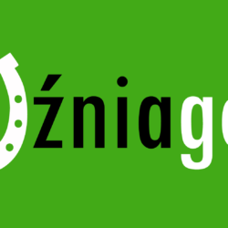logo_tlo_zielone