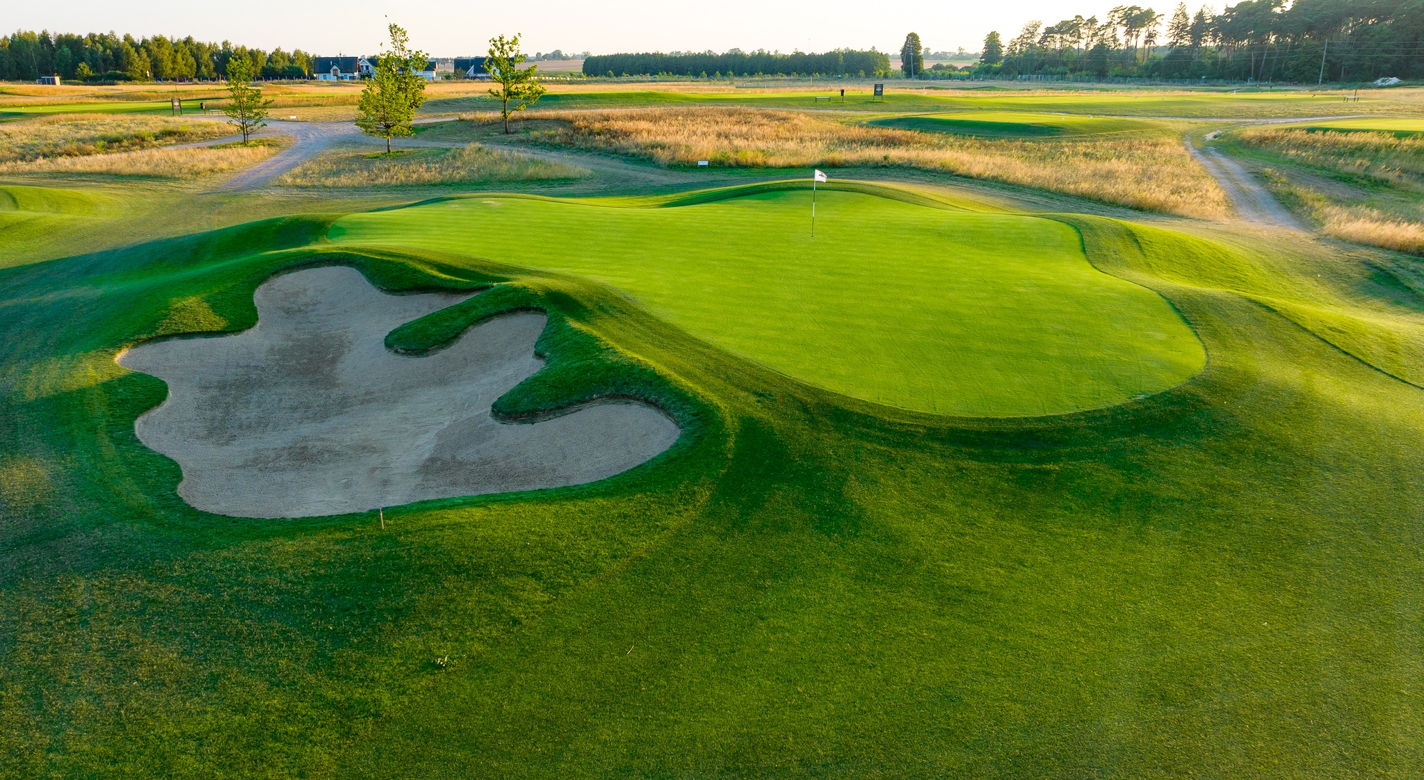 black water links