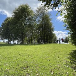 IMG 4851