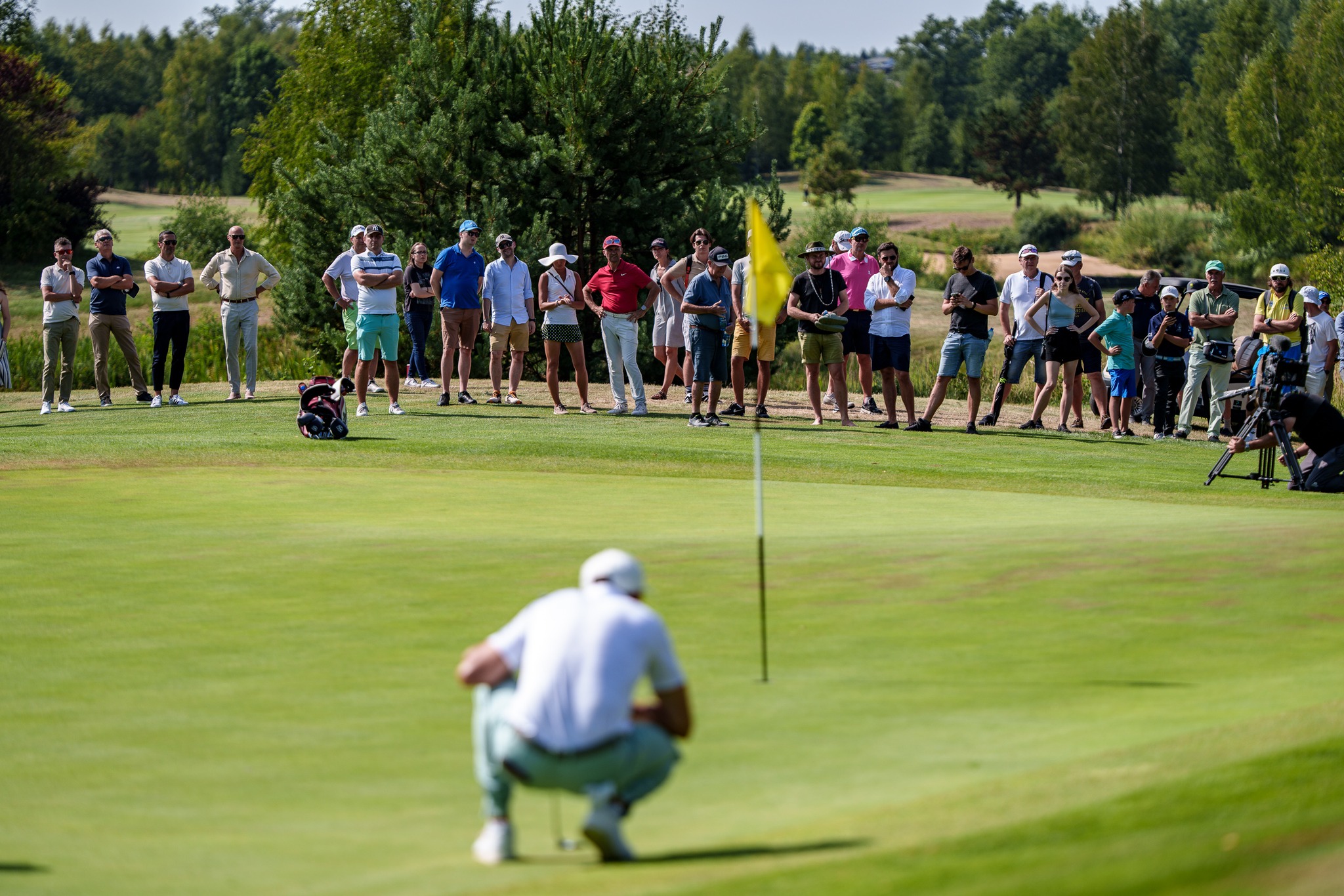 485726020 1206409194606036 6587697507058808468 n