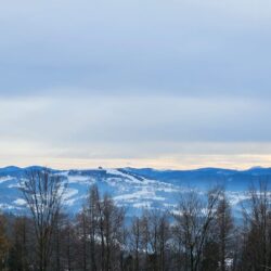 WhatsApp Image 2025 12 05 at 10.46.31 (1)