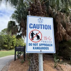 Zalewska Australia 26 archiwum prywatne 2