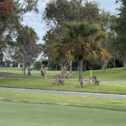 Zalewska Australia 26 archiwum prywatne 3